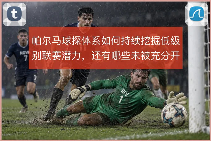 帕尔马球探体系如何持续挖掘低级别联赛潜力,还有哪些未被充分开发的市场