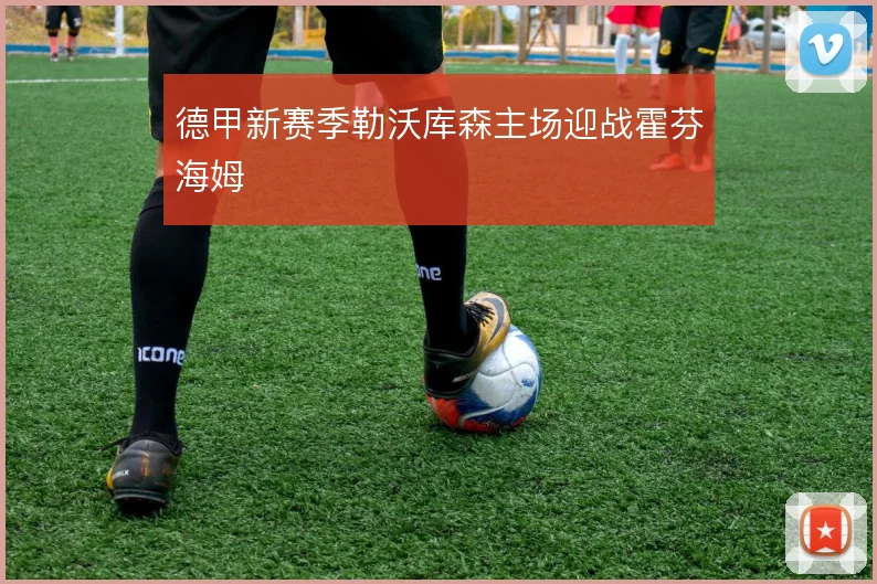 德甲新赛季勒沃库森主场迎战霍芬海姆