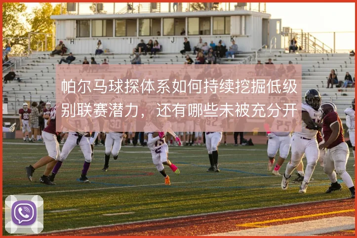 帕尔马球探体系如何持续挖掘低级别联赛潜力,还有哪些未被充分开发的市场