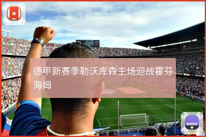 德甲新赛季勒沃库森主场迎战霍芬海姆